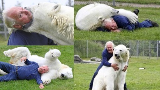 마크두마스-북극곰(사진= 더선, 커뮤니티 게시판)