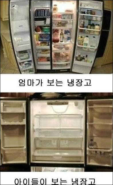 엄마와 아들이 보는 냉장고 사진이 화제다