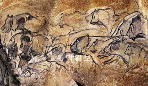 후기 구석기 시대인 약 3만 년 전에 그려진 프랑스 쇼베동굴 벽화. 사자들이 들소를 사냥하는 모습이다. 쇼베동굴 벽화에는 손바닥 자국이나 발자국, 그리고 상징적인 기호들도 그려져 있다. 동아일보DB