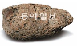 국립부여박물관 제공 경남 비봉리유적지에서 한국 최초로 발견된 선사시대 분석(똥 화석). 국립김해박물관 제공