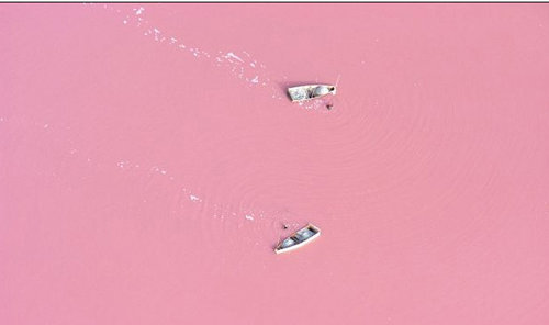 딸기우유 색깔 호수. 사진출처｜미러