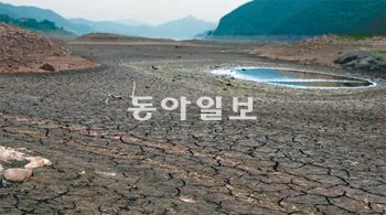 거북이 등처럼 갈라진 보령호 최악의 가뭄이 이어지면서 충남 서부지역 최대 담수호인 보령호 바닥이 거북이 등처럼 심하게 갈라져 있다. 보령시 제공