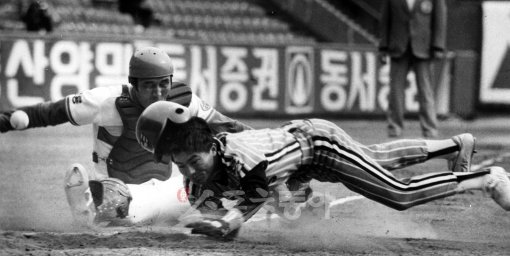 작은 체격에도 악바리처럼 야구를 했던 넥센 김성갑 수석코치(오른쪽)가 빙그레 시절 홈으로 몸을 던져 슬라이딩하고 있다. 포츠동아DB