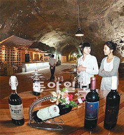 무주 산머루 와인을 숙성 저장 판매하는 와인동굴. 동아일보DB