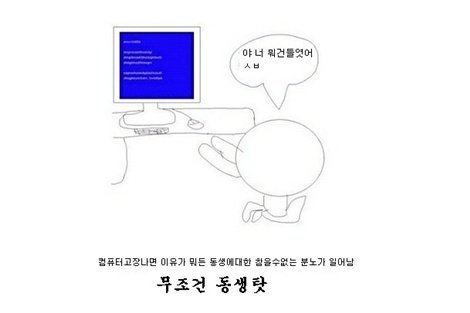 출처= 커뮤니티 게시판