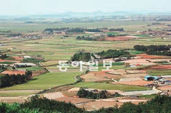 무안기업도시 예정지인 무안군 현경면 동산리와 양학리 일원. 동아일보DB