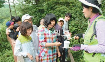 지난달 29일 강원 횡성군 둔내면 ‘숲체원’(숲체험교육센터)에서 장애인들이 숲 해설사와 함께 산길을 걸으며 솔방울을 종이컵에 넣는 프로그램 등 다양한 숲 체험 활동을 즐기고 있다. 횡성=이기진 기자 doyoce@donga.com