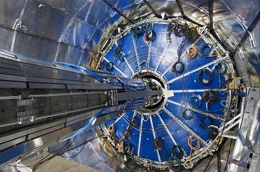 출처= 디스커버리 뉴스 캡처