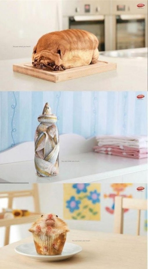 출처= 커뮤니티 게시판