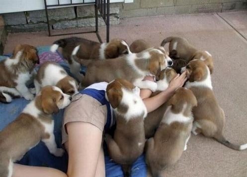 출처= 해외 커뮤니티 게시판