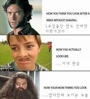 출처= 커뮤니티 게시판