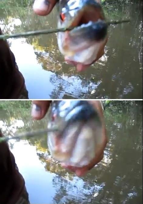 사진= 영상 캡처