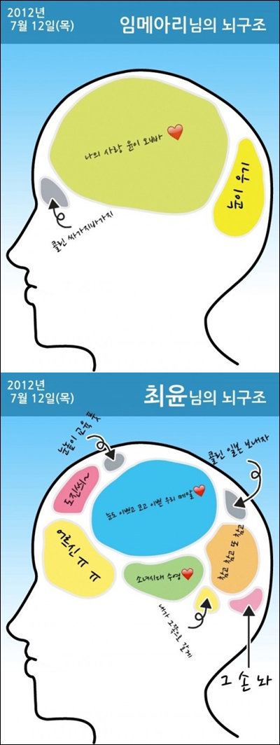 ‘임메아리 뇌구조’ 공개 화제