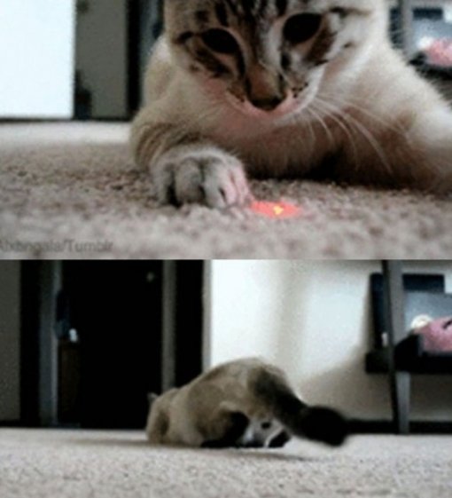 출처= 커뮤니티 게시판