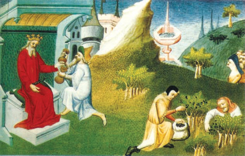 15세기 초 동방 여행가들의 기록인 ‘세계의 불가사의에 관한 책’에 나오는 상상도. 후추를 수확해서 왕에게 진상하는 장면이다. 따비 제공
