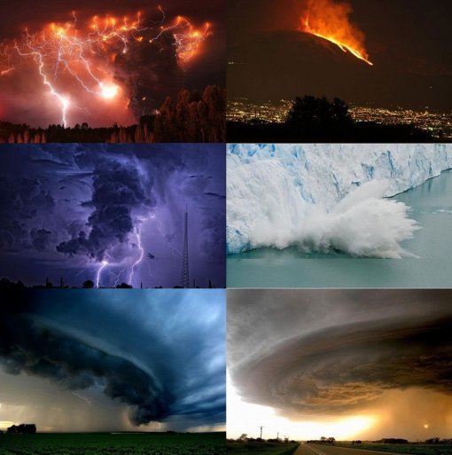 출처= 커뮤니티 게시판