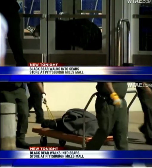 사진= 영상 캡처