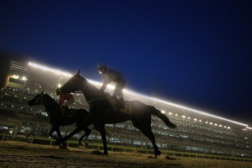 한국마사회가 23일 ‘새로운 백년을 준비하는 한국마사회 비전 2022’를 통해 경마의 세계화, 말산업 강국으로의 도약을 선포했다.
 한국마사회는 목표달성을 위해 국제오픈경주 개최, 말산업 육성 복합단지 조성, 유소년 승마교육 강화 등을 적극 추진할 예정이다. 
사진제공｜한국마사회