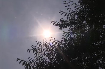 채널A ‘뉴스A’ 방송화면 캡쳐.