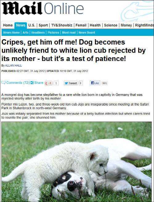 출처= 데일리메일 캡처.