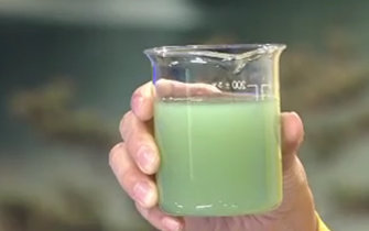 채널A ‘뉴스A’ 방송화면 캡쳐.