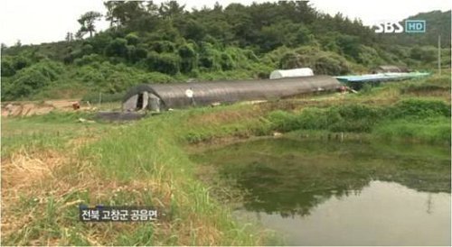 양학선의 부모가 살고 있는 전북 고창 석교리의 비닐하우스 집.  효자인 양학선은 기회가 있을 때마다 부모님께 번듯한 새 집을 지어드리고 싶다고 말해왔다. 사진=SBS 방송화면 캡쳐