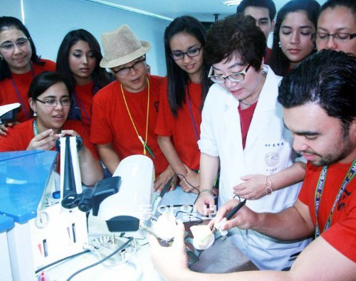 온두라스 국립치과대 학생들이 김정숙 대구보건대 글로벌덴탈교육센터장(앞줄 오른쪽에서 두 번째)과 치기공 실습을 하고 있다. 대구보건대 제공