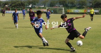 9일 개막한 화랑대기전국초등학생 축구대회에 참가한 학생들이 알천축구장에서 경기를 하고 있다. 경주시 제공