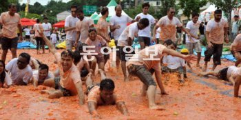 제10회 화천 토마토축제가 10일 개막돼 토마토를 활용한 다양한 프로그램이 진행된다. 지난해 축제 때 외국인 관광객들이 즐거워하고 있다. 화천군 제공