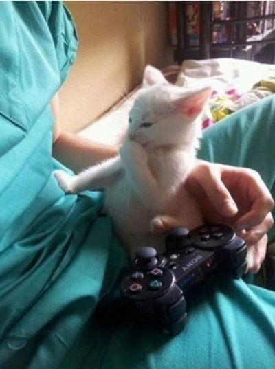 ‘아이 오빠도 참’이라는 제목의 사진이 공개돼 눈길을 끌고 있다.