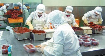 충북 증평군에 있는 청보F&B 1공장에서 직원들이 양념게장을 만들고 있다. 청보F&B 제공