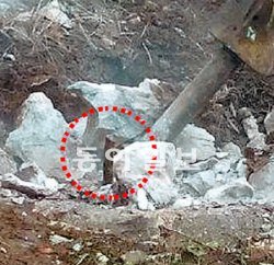 13일 옥매산 정상에서 쇠말뚝을 제거하는 모습. 옥매산 쇠말뚝 뽑기 추진위원회 제공