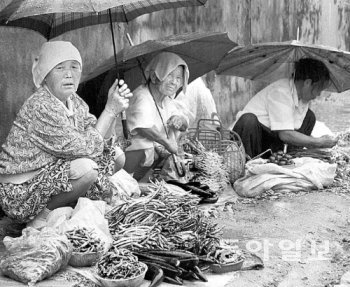 우산 받쳐 들고… 비가 내리는 어느 날 전북 무주의 작은 마을에 장이 섰다. 보자기를 펼쳐 고추며 가지를 늘어놓고는 우산을 받쳐 들고 손님을 기다리는 할머니들. 필자 제공