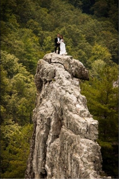 용감한 신혼부부. 사진출처=인터넷 커뮤니티