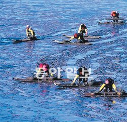 올해 5월 전남 신안군 증도를 찾은 관광객들이 갯벌체험을 하고 있다. 전남도는 서남해안 갯벌을 유네스코 세계자연유산에 올리기 위해 본격적인 활동을 시작했다. 국토해양부 제공