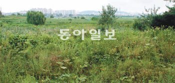 한국공항공사가 골프장 건설을 놓고 환경단체와 첨예하게 대립하고 있는 서울 김포공항 주변의 습지. 60여만 ㎡에 이르는 이 지역은 온갖 새들이 날아드는 천혜의 서식지다. 차준호 기자 run-juno@donga.com