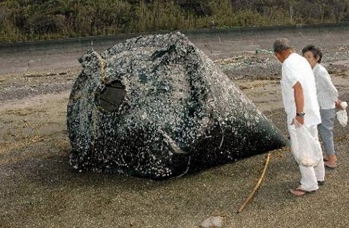 출처= 아사히 신문