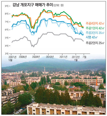 최근 시세 하락이 계속되고 있는 서울 강남구 개포동 개포지구 전경. 개포주공아파트
매매가는 지난달에 2007년 이후 최저점이었던 2008년 금융위기 당시에 근접한 수준
까지 떨어진 것으로 나타났다. 부동산114 제공