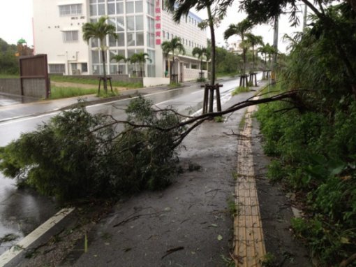 볼라벤으로 인해 오키나와에 사는 일본 네티즌이 자신의 트위터에 올린 사진.(출처= @goyahso)