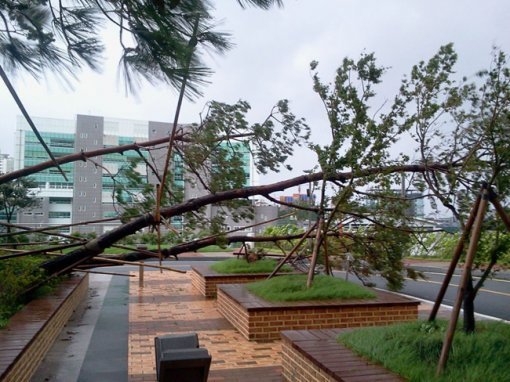 전남지방경찰청 공식 트위터(@poljeonnam)