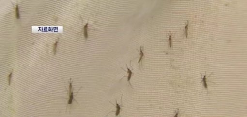 사진= 채널A 보도영상 캡처