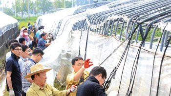 공무원들 비닐하우스 복구 지원 광주시 공무원들이 태풍 ‘볼라벤’으로 피해를 본 비닐하우스 농가의 복구작업 지원에 나섰다. 29일 광주시청 경제국과 통상국 직원 150여 명이 남구 대촌동에서 강풍에 찢어진 비닐을 걷어내며 구슬땀을 흘리고 있다. 박영철 기자 skyblue@donga.com