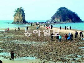 꽃지 해변. 동아일보 DB