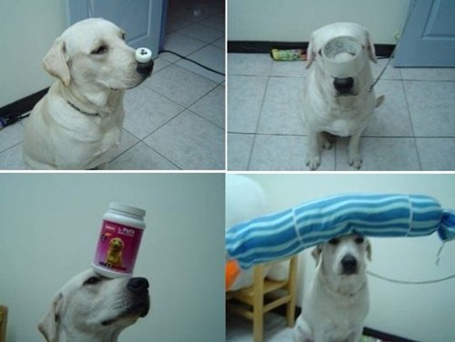 출처= 커뮤니티 게시판