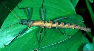 출처= BBC 홈페이지 캡처