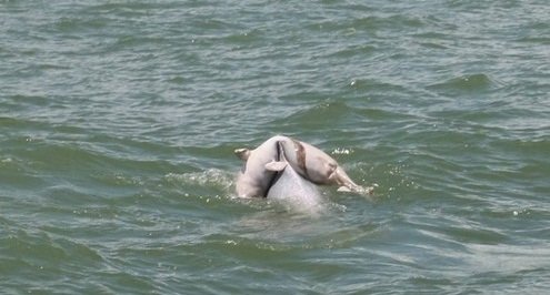 기사와는 무관함 (출처=웨이보)