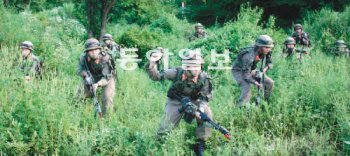 대한민국 육군 과학화전투훈련단의 전문대항군 부대원들이 북한군 복장을 한 채 6일 숲 속에서 수색 훈련을 벌이고 있다. 이들은 입소한 훈련부대와 실전과 다름없는 전투를 함으로써 훈련부대의 전투력을 끌어올리는 역할을 맡고 있다. 이인모 기자 imlee@donga.com