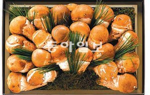 신세계백화점 ‘참송이 세트’