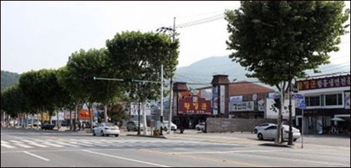 1km 김밥 만들 도전이 열릴 대구 들안길 전경. 사진=대구 수성구청 홈페이지