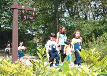 북한산 유아숲체험원에서는 각종 야생 식물 및 곤충 관찰, 계곡 물놀이, 체육활동 등 교육 프로그램을 체험할 수 있다.